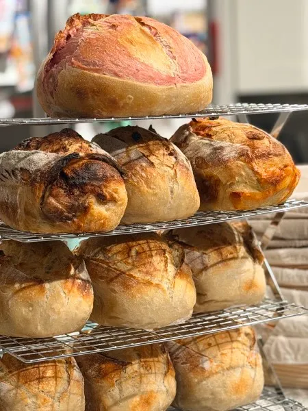 Rustic boules in bakery